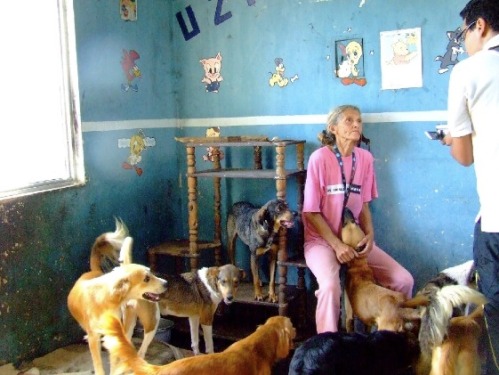 Inside Graciela´s House! She really needs our help, guys! Let´s do our best to find new families for her pets!!!
